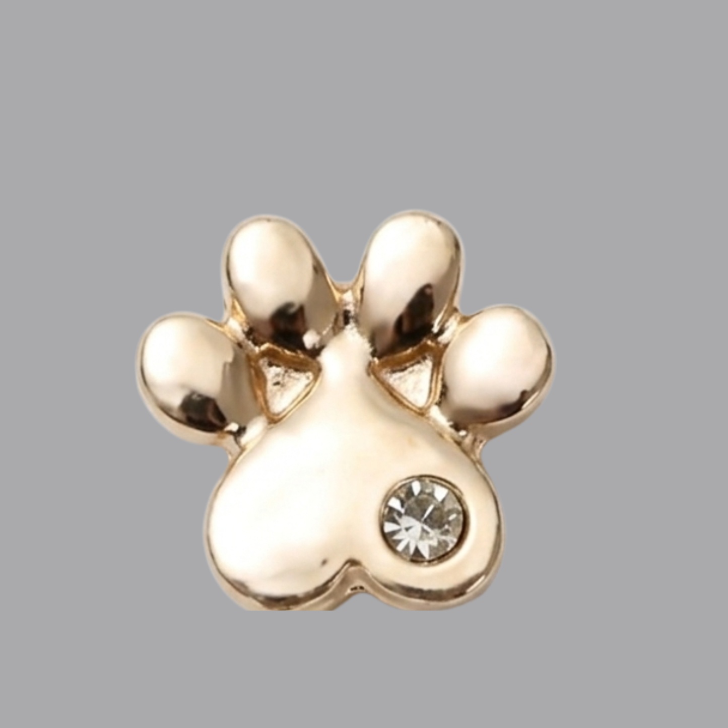 VELINA CHARM